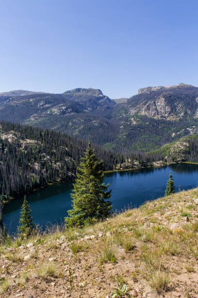 istock Granite Lake Colorado Wilderness Scene 1398187693