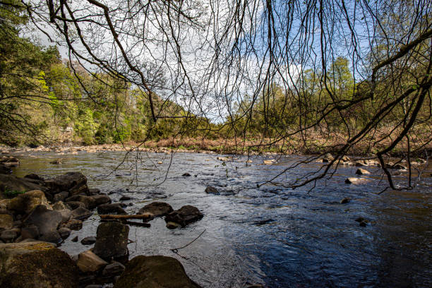 istock River surrounded by woodland 1398192329
