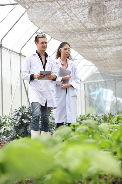 istock Agricultural Engineers Test Plants Health and Analyze Data with Tablet Computer. Biotechnology  engineer examining plant leaf for disease 1398198140