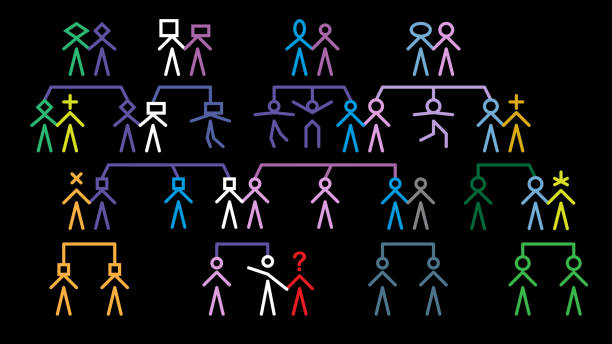 A multi-generational family tree illustration infographic shows the relationships of cousins, parents, siblings, partners and grandparents. Colourful stick figures show relationships between family members. Animation is also available in videos. family tree chart stock illustrations