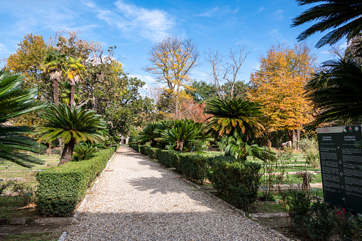 Pisa, Italy - November 10, 2021 - Botanical Garden and School at the University of Pisa