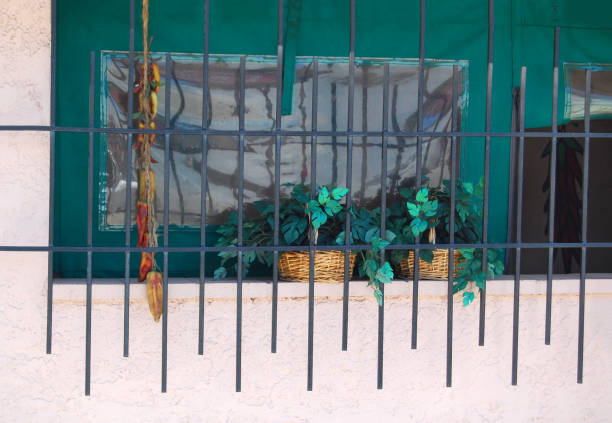 istock Urban flower box baskets in window 1398201422
