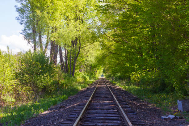 Railroad Tracks in the distance