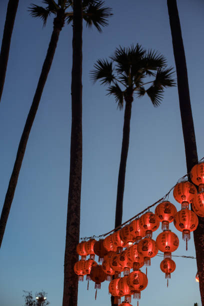 istock Bright Chinese lanterns on palm trees against the evening sky. 1398211742