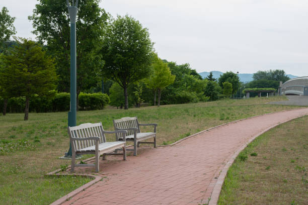 Park with benches in early summer