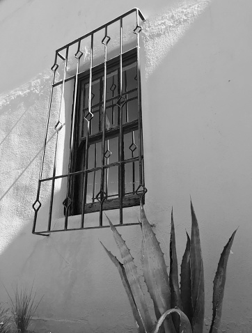 Black and White Architectural Feature of Spanish Style House with Agaves in Tucson, AZ