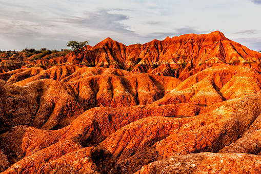 Rough rocky mars landscape from above.