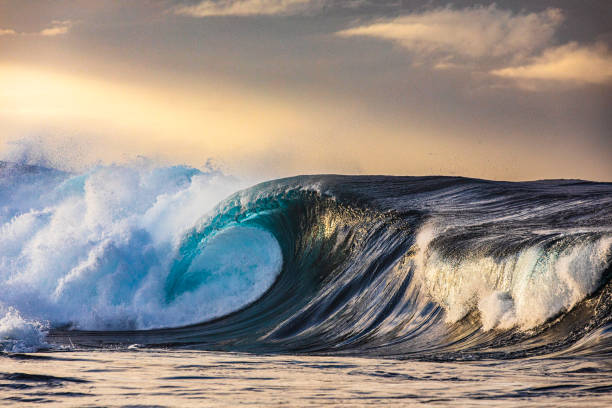 istock Powerful blue open ocean wave barrelling in warm morning light 1398224917