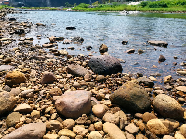 This is a photograph of the shore of the Delaware River in the Catskill Mountains seen from above in upstate New York in summer.
