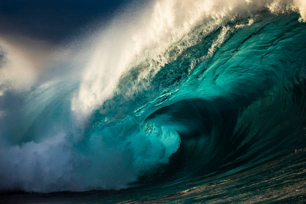istock Powerful blue open ocean wave barrelling in warm morning light 1398224967