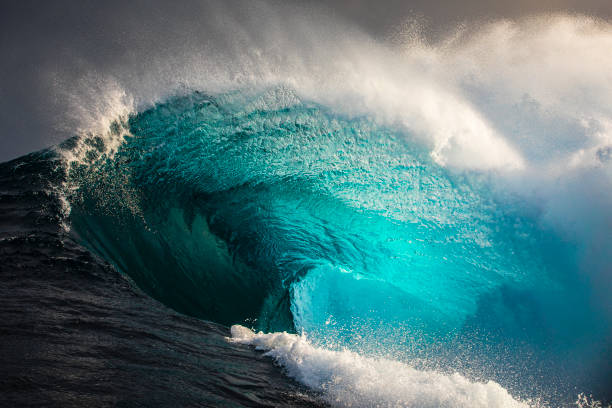istock Powerful blue open ocean wave barrelling in warm morning light 1398225008