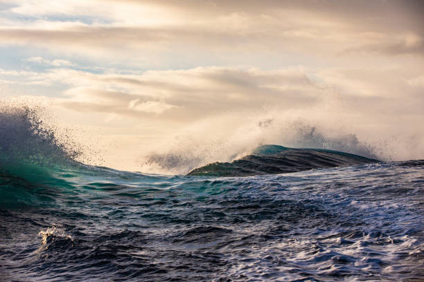 istock Open ocean wave breaking from behind in golden light 1398225224