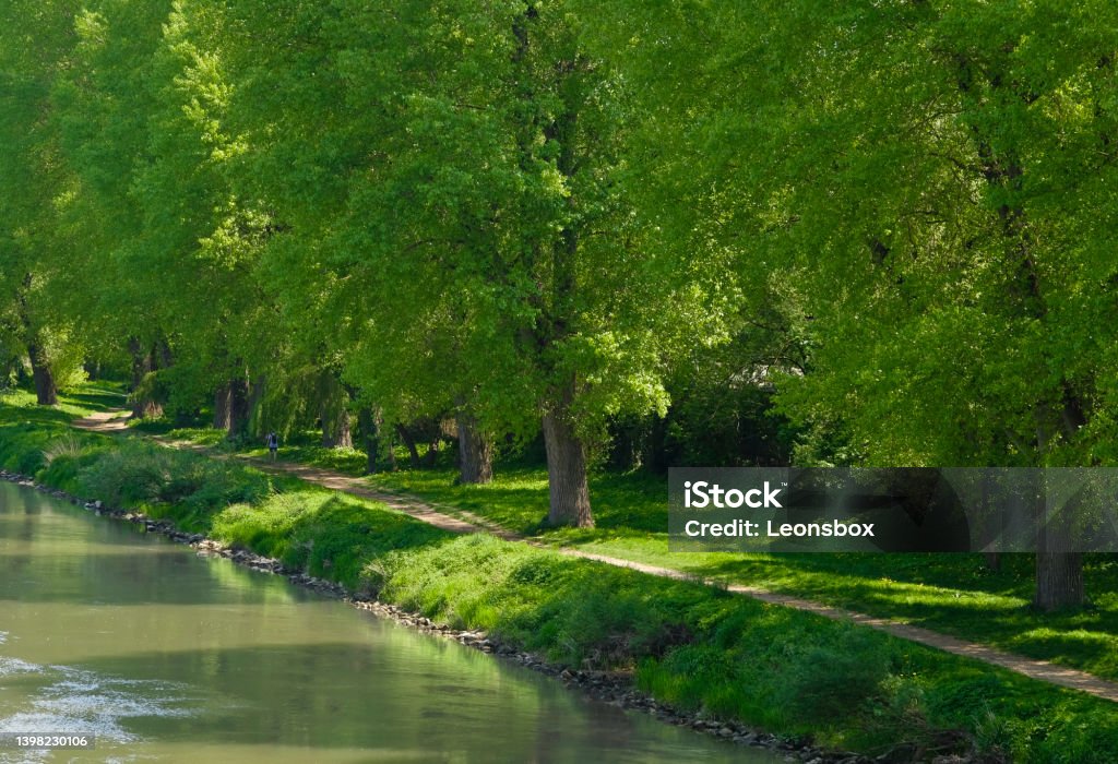 A magnificent park landscape near the city of Regensburg. The "Jahninsel" with its green banks on the Danube, is a popular recreational destination in Regensburg. Regensburg Stock Photo