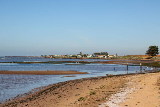 istock coastal landscape at low tide 1398234159