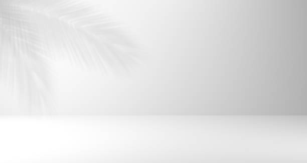 istock abstract background of shadows palm leaf on a white wall. White and Black. 1398234951