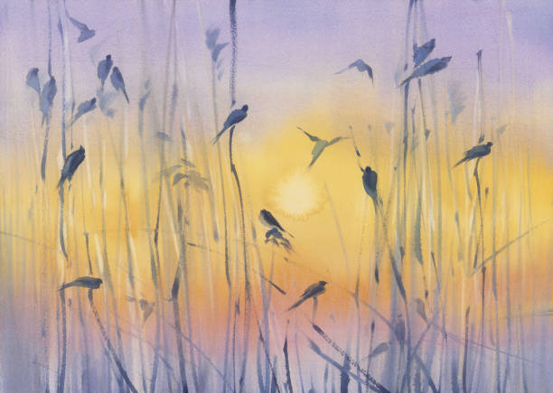 Small birds on the grass watercolor background Small birds on the grass watercolor background. Evening landscape watercolor nature stock illustrations
