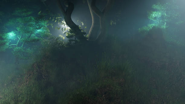 istock 22. Night scenery in the wild forest - beautiful natural scenery 1398244113