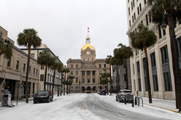 istock Snow Day in Savannah, Georgia 1398244184
