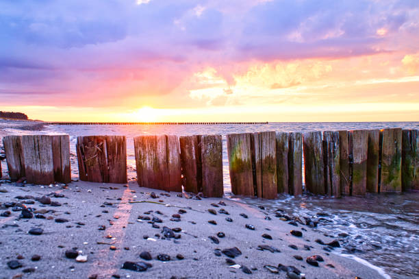 日没時に海に突き出た鼠径部。前景に石のあるビーチ。 - beach sunset sand wood ストックフォトと画像