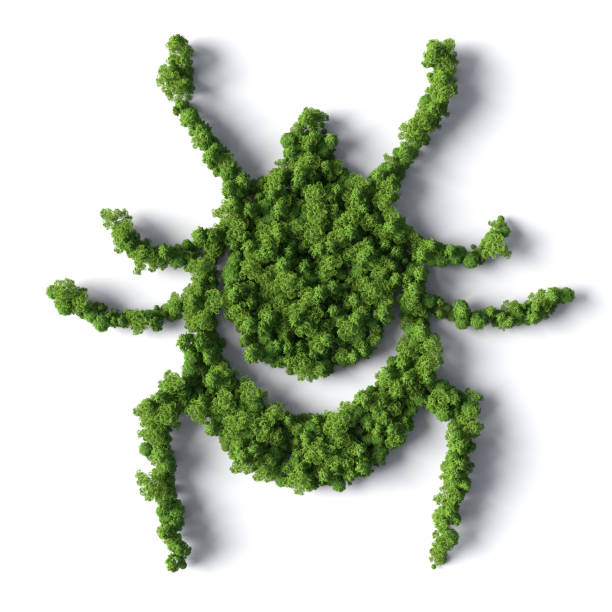 istock Tick symbol in the Forest 1398254453