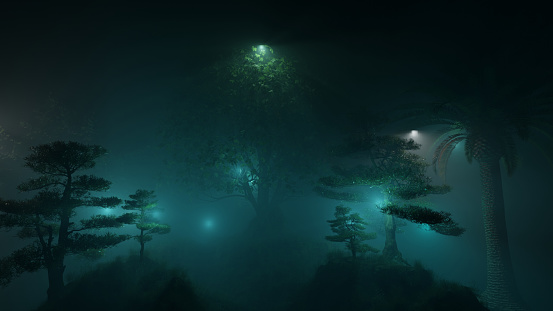 23. Light in the night forest - Beautiful scenery in the magical forest