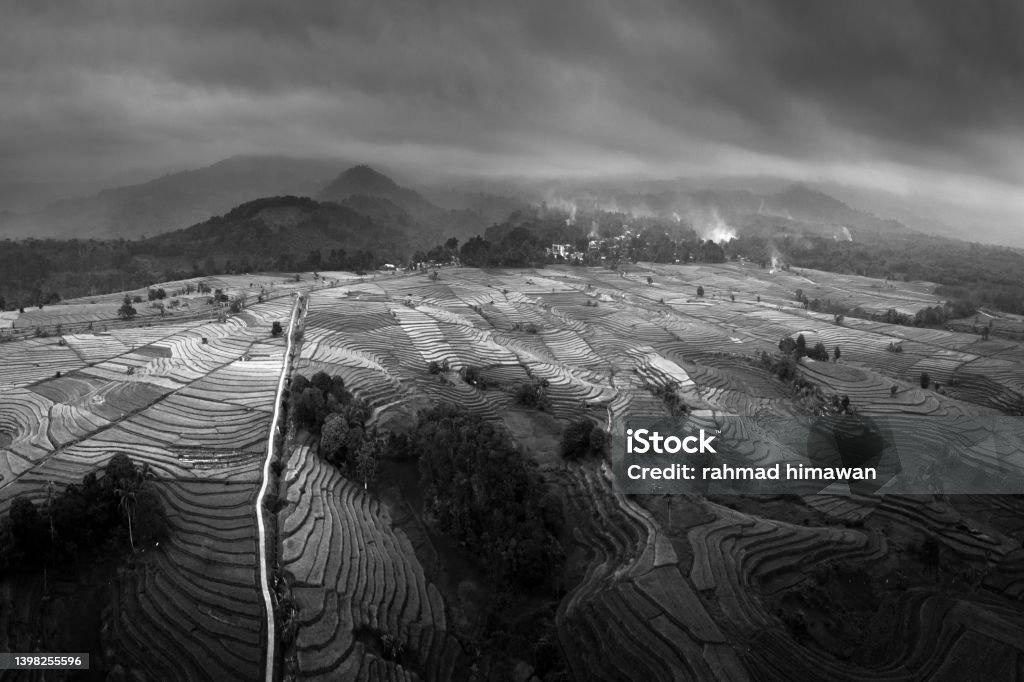 panoramic view of rice terraces from aerial photos in the afternoon when the sun is a beautiful and overcast sunset with Mount Bengkulu Utara, Indonesia Agricultural Field Stock Photo