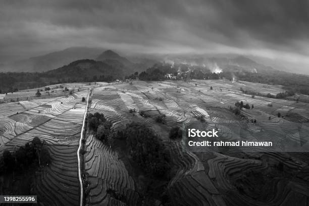 Panoramic View Of Rice Terraces From Aerial Photos In The Afternoon When The Sun Is A Beautiful And Overcast Sunset With Mount Bengkulu Utara Indonesia Stock Photo - Download Image Now