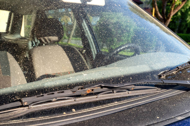 istock Allergy season. Car windshield covered by tree pollen in spring 1398257666