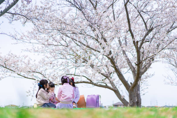 Little girls having a picnic under a cherry tree