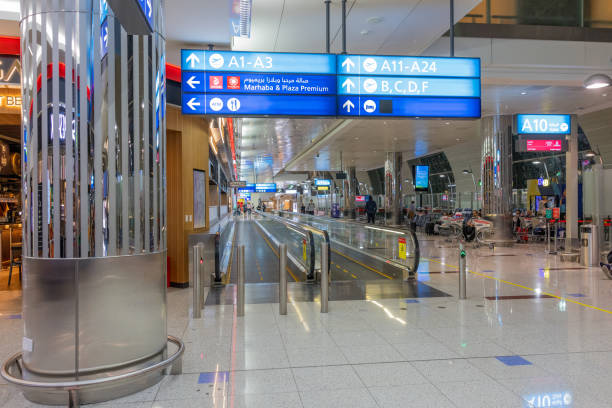 Empty airport terminal waiting area with chairs  new departure lounge at the airport, blue tone