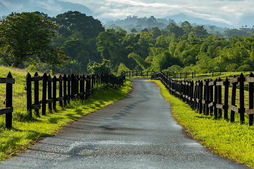 Rural driveway through paddocks on farm, Pereira , Colombia