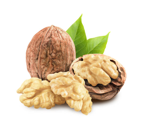 istock Tasty walnuts and green leaves on white background 1398266072