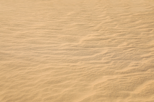 Beautiful view of rippled sandy surface in desert as background