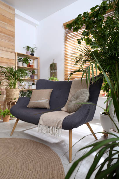 istock Comfortable sofa and beautiful houseplants in room. Lounge area interior 1398268844