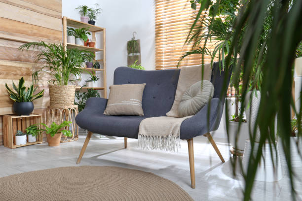 istock Comfortable sofa and beautiful houseplants in room. Lounge area interior 1398269438