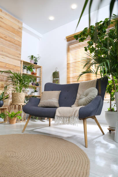 istock Comfortable sofa and beautiful houseplants in room. Lounge area interior 1398270288