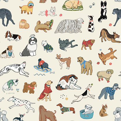 Dogs funny pets vector seamless pattern