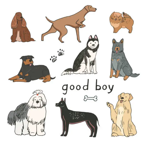 Vector illustration of Dogs funny pets vector illustrations set