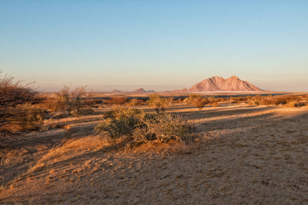 Prairie in Erongo region near Spitzkoppe, Namibia, Africa stock photo