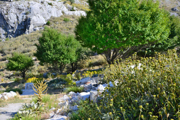 mountain path along green trees and rocks in hot sunny day