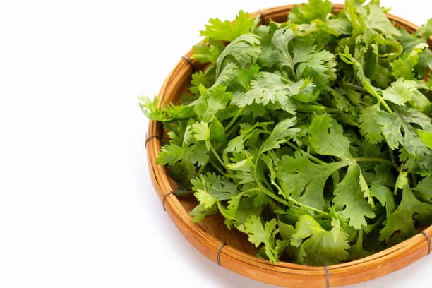 istock Fresh coriander leaves on white background. 1398281882