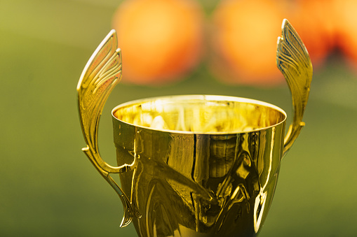 three different types of golden trophies on a blurry background of a football field