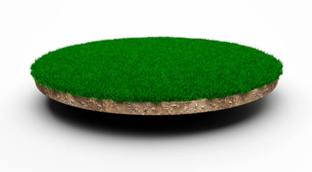 istock Grass circle isolated 3D Illustration round soil ground cross section with earth land and green grass 1398283043