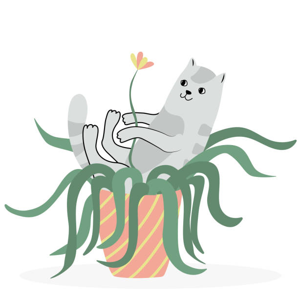 Cute cat laying in a flower pot Cute cat laying in a flower pot. Hand drawn flat vector illustration and lettering. Potted plant and pet. spider plant animal stock illustrations