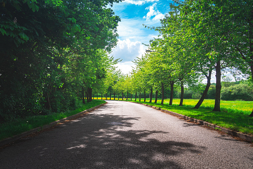 Driving along Country Roads, UK