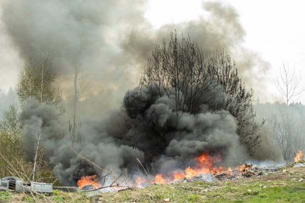 istock Trees are burning. Fire in nature. Burning garbage dump. Damage to environment. 1398287622