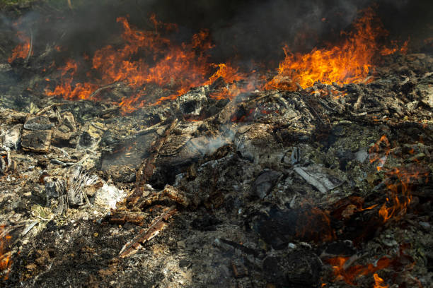 istock Fire in landfill. Fire and smoke. Burning garbage. 1398287810
