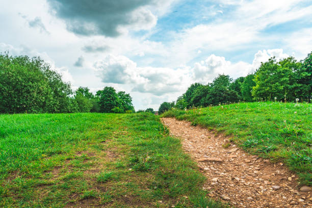 Path of road at nature
