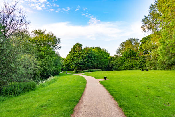 istock A macadam footpath in a park 1398289289