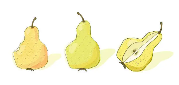 Vector illustration of Желтые груши